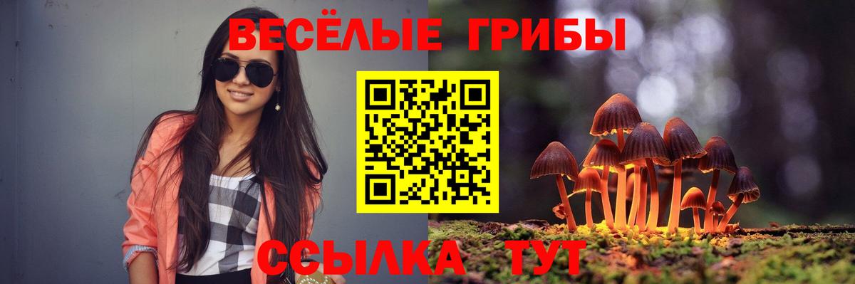 Псилоцибиновые грибы Psilocybe  Вход с VPN  Шелехов 