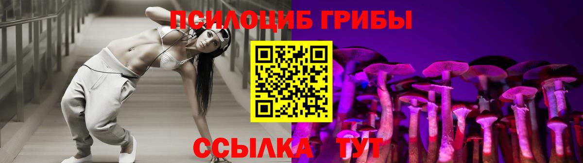Галлюциногенные грибы Psilocybe Шелехов
